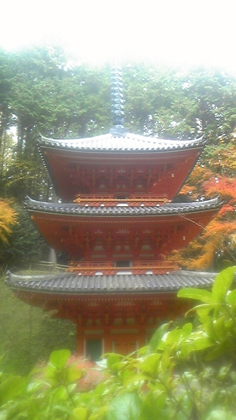 e0307890_0135767.jpg