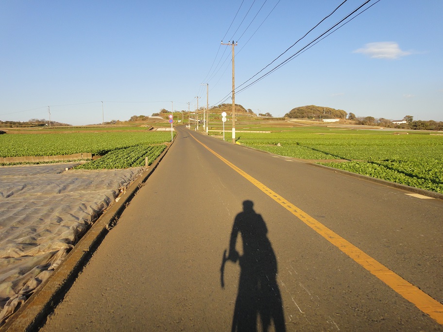 b0092300_22573528.jpg