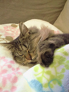 c0035001_14295243.jpg