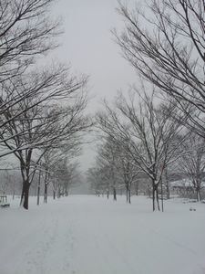 e0156601_20492241.jpg