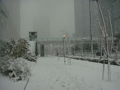 a0167803_1448305.jpg