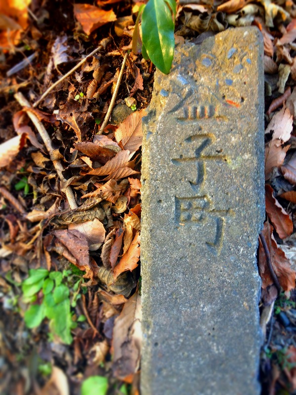 a0238703_1528875.jpg