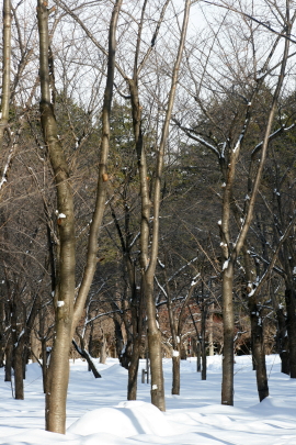 f0041606_15231042.jpg