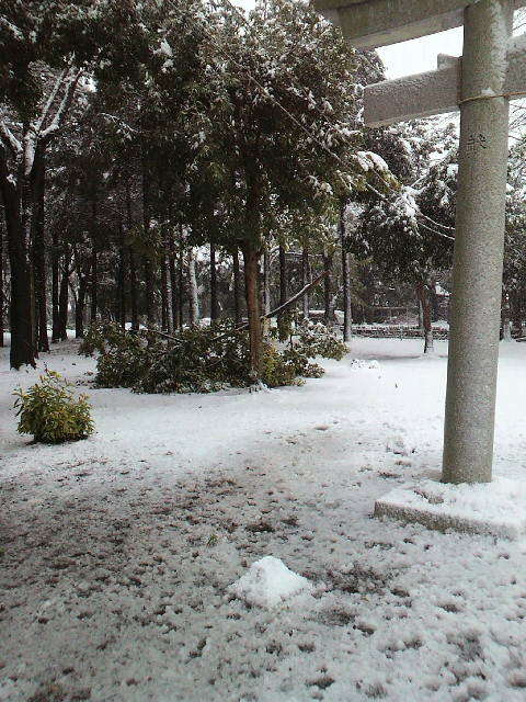 f0127408_2157169.jpg