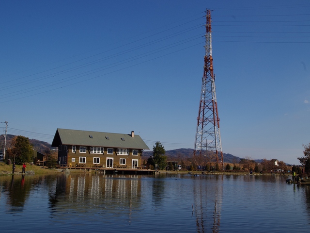 f0137709_158412.jpg