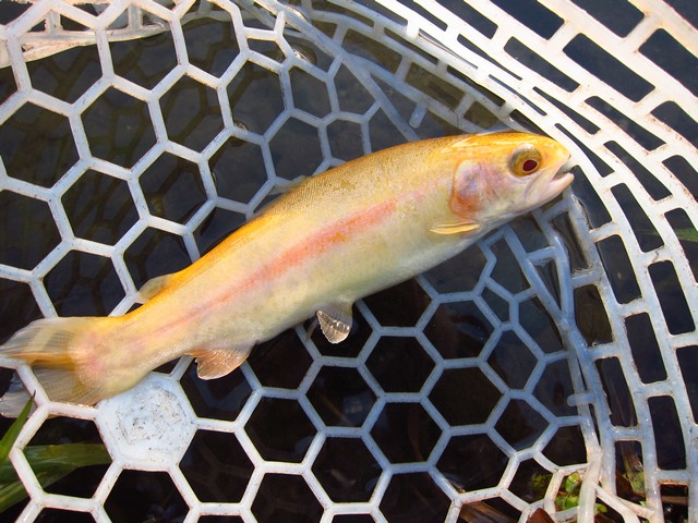 f0137709_2275100.jpg