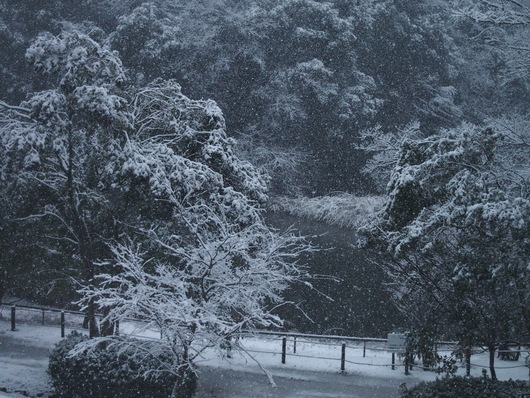 c0186410_14442372.jpg