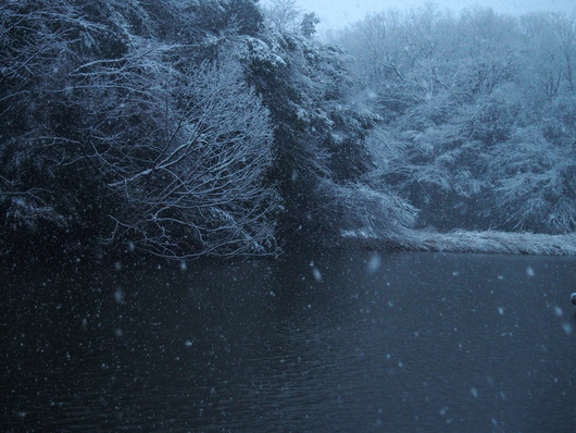 c0186410_1446862.jpg