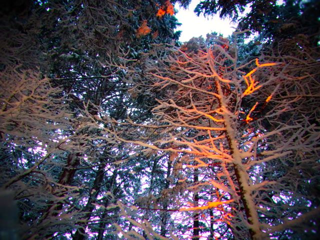 b0183911_13291544.jpg