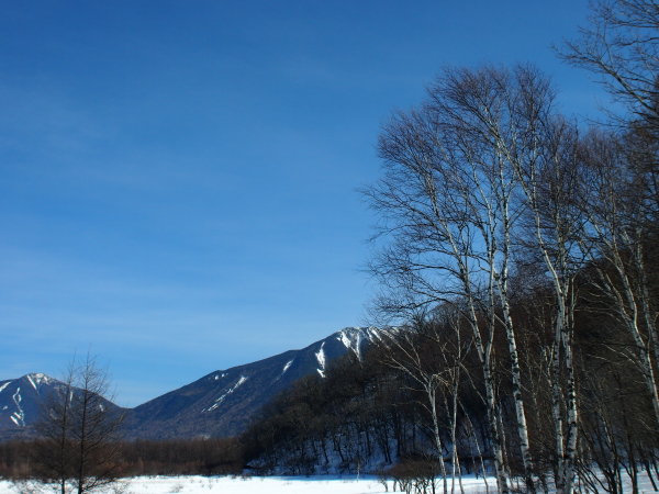 b0244811_12161436.jpg