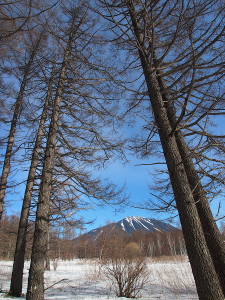 b0244811_12231111.jpg