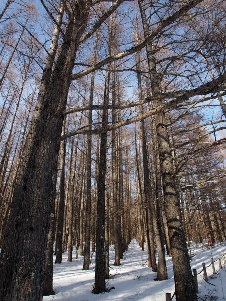 b0244811_123542100.jpg