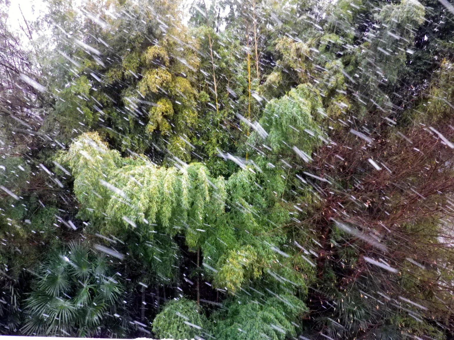 c0128516_1073472.jpg