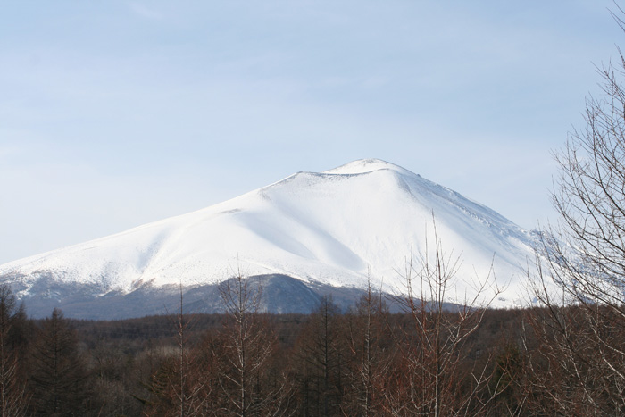 e0244621_22124423.jpg