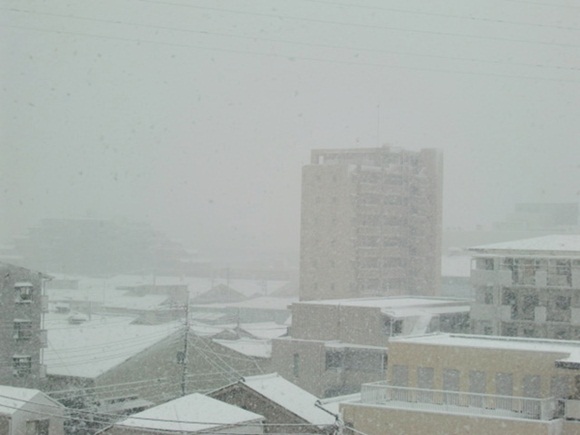 f0182121_1331162.jpg
