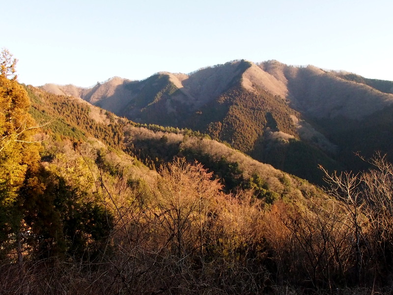 c0085622_193622.jpg