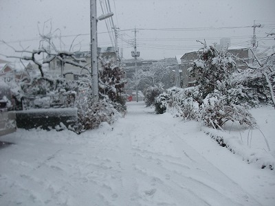 f0037623_1895450.jpg