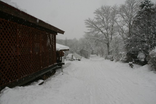 b0174425_13224652.jpg