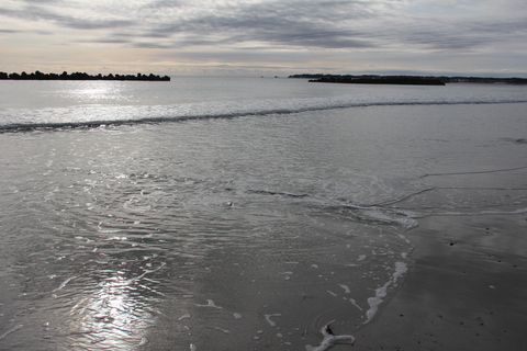 e0184826_0453523.jpg