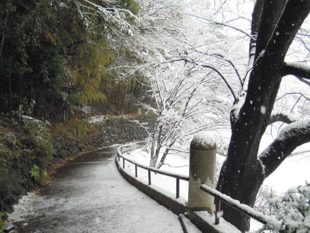 f0229926_10195314.jpg