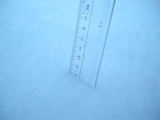 e0247832_2356344.jpg