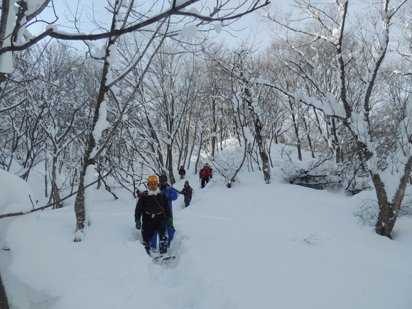 f0118332_12392359.jpg