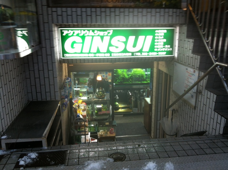 c0250835_18134685.jpg