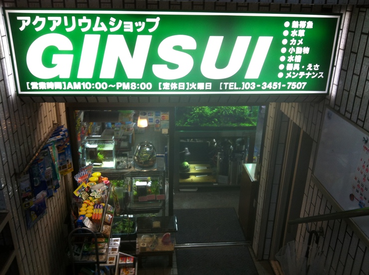 c0250835_18145499.jpg