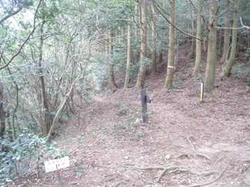 c0077338_556516.jpg