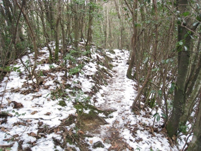 c0077338_557163.jpg
