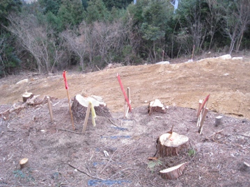 c0077338_5575599.jpg