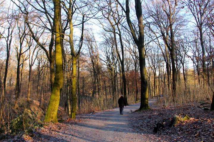 c0153740_8281513.jpg