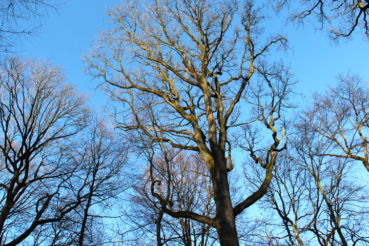 c0153740_8285165.jpg