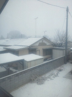 e0150849_10221757.jpg