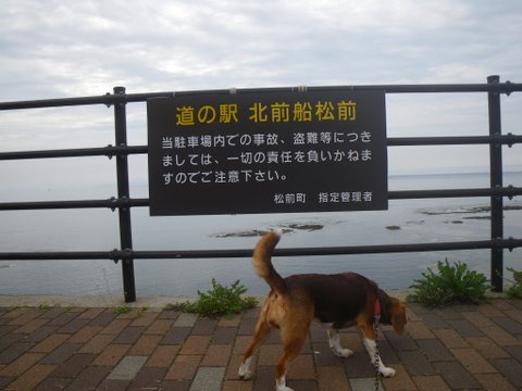 f0046250_22422555.jpg