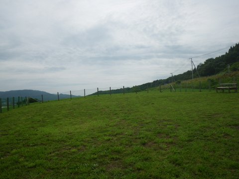 f0046250_22453290.jpg