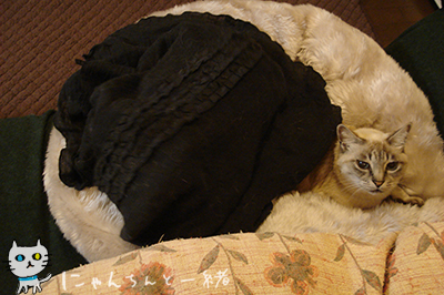 e0031853_1517795.jpg