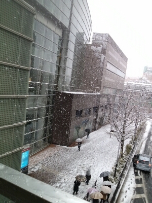 d0271257_1545234.jpg