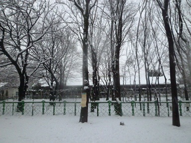 b0203758_21354587.jpg