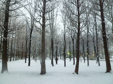 b0203758_2137915.jpg