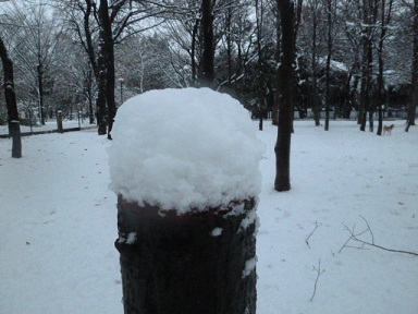 b0203758_21382595.jpg