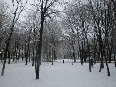 b0203758_21393761.jpg