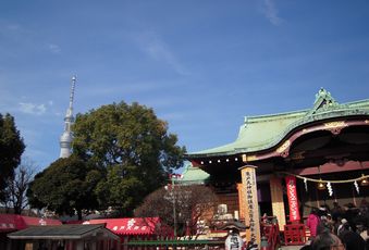 d0034659_1045131.jpg