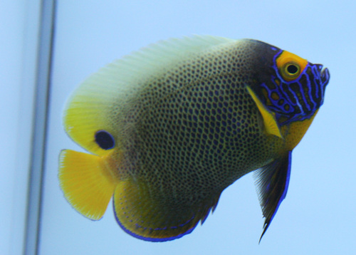 a0162261_18155820.jpg