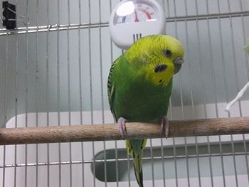 f0196665_23541283.jpg