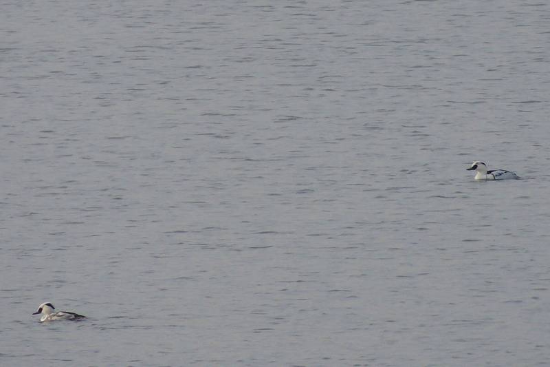 b0167370_10184266.jpg