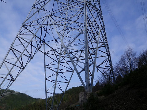 c0002874_1115232.jpg