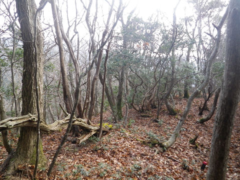 c0002874_11163530.jpg