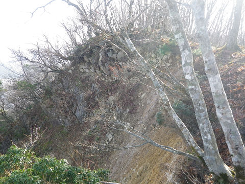 c0002874_1120589.jpg