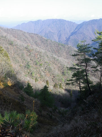 c0002874_11232633.jpg